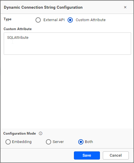 Custom Attribute Configuration with Dynamic Connection String