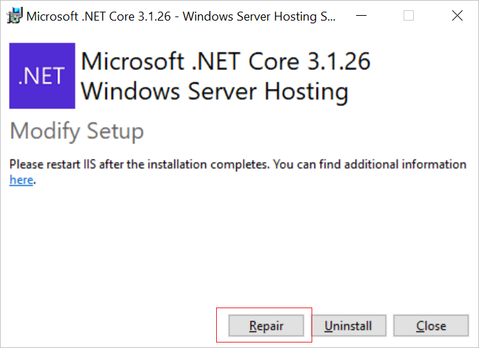 Windows Server Hosting Repair