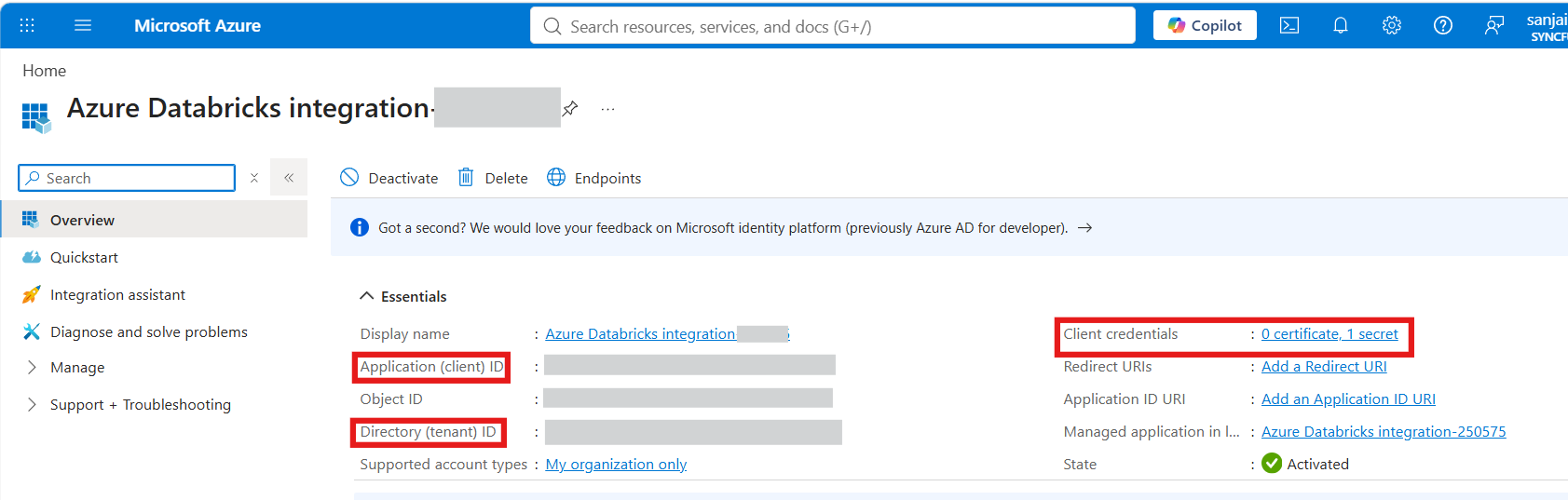 Azure Databricks Connectivity
