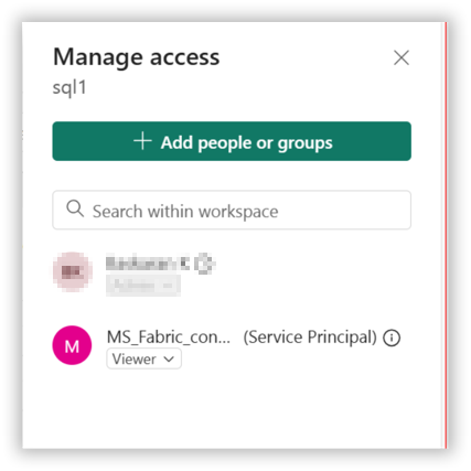 Microsoft Fabric ManageAcess