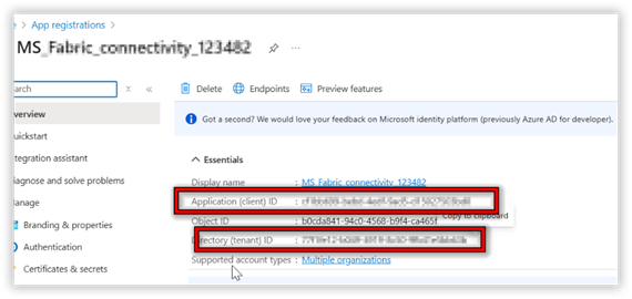 Microsoft Fabric Connectivity